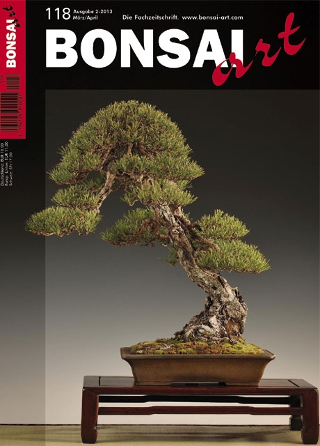 BONSAI ART 118