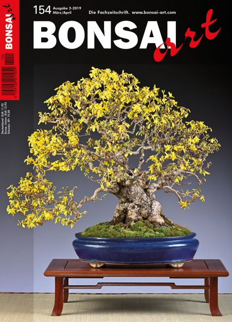 BONSAI ART 154