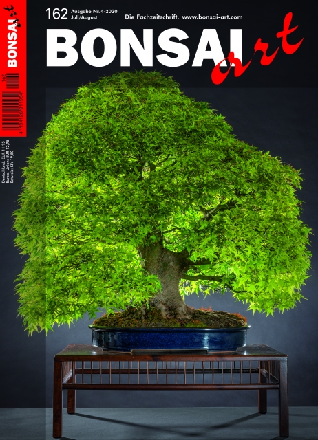 BONSAI ART 162