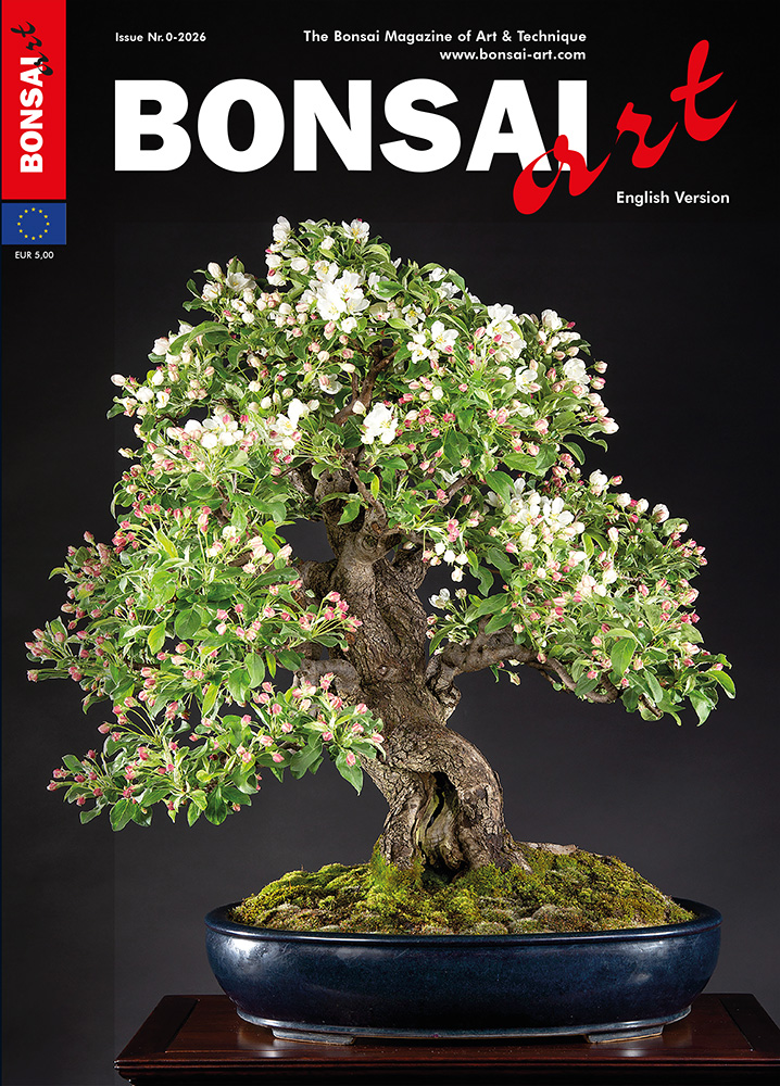 BONSAI ART (English Version)
