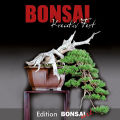 02 Bonsai Kreativ-Fest 2019 in Dsseldorf