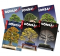 BONSAI ART-Sixpack