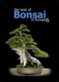 The Best of Bonsai in Europe 6