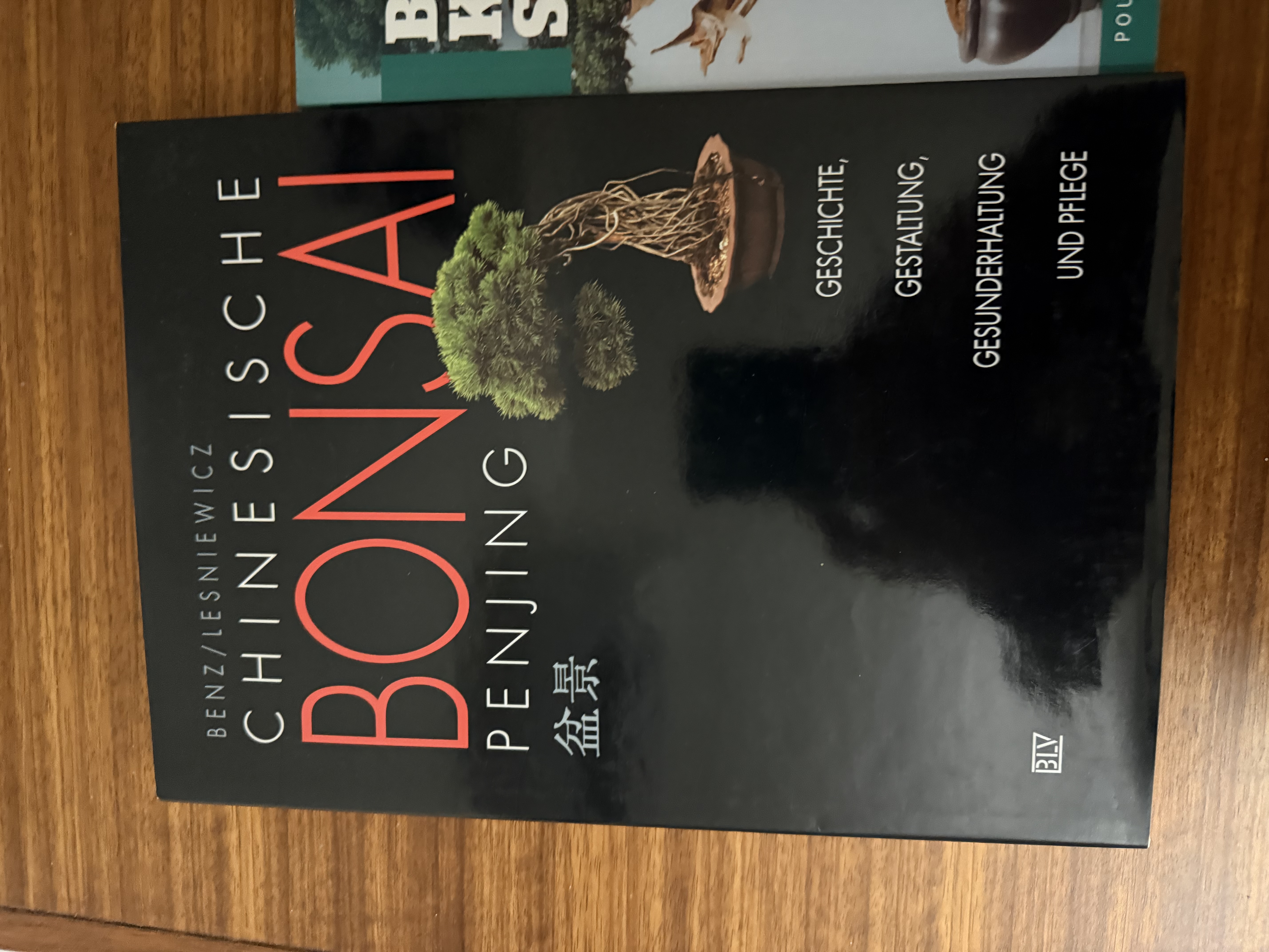 Logo:Chinesische Bonsai - Penjing