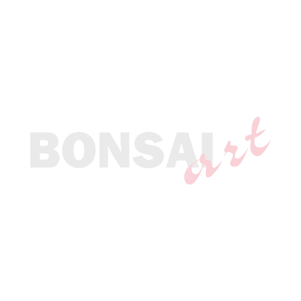 BONSAI ART 1 (English Version)