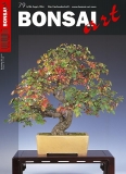 BONSAI ART 079 * Leider ausverkauft! *