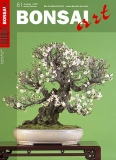 BONSAI ART 081