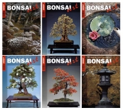 BONSAI ART Jahrgang 2002