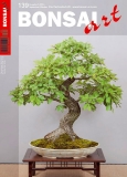 BONSAI ART 139