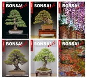 BONSAI ART Jahrgang 2016 - NUR FR ABONNENTEN