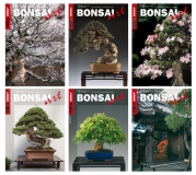 BONSAI ART Jahrgang 2014 - NUR FR ABONNENTEN