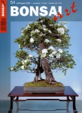 BONSAI ART 054