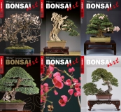 BONSAI ART Jahrgang 2018 - NUR FR ABONNENTEN