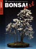 BONSAI ART 058