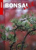 BONSAI ART 061