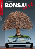 BONSAI ART 170