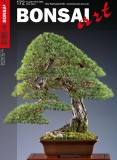 BONSAI ART 172