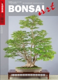 BONSAI ART 173