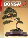 BONSAI ART 071