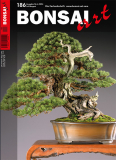 BONSAI ART 186