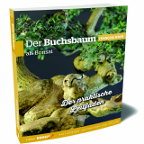 01 Der Buchsbaum als Bonsai von Franois Jeker