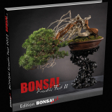 03 Bonsai Kreativ-Fest II - Mngelexemplar