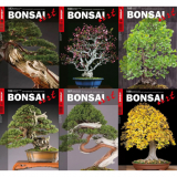 BONSAI ART Jahrgang 2024