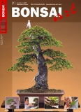 BONSAI ART 091