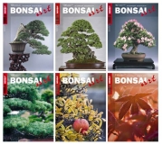 BONSAI ART Jahrgang 2011