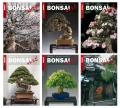 BONSAI ART Jahrgang 2014 - NUR FÜR ABONNENTEN