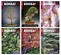BONSAI ART Jahrgang 2012 - NUR FÜR ABONNENTEN