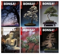 BONSAI ART Jahrgang 2003 - NUR FR ABONNENTEN