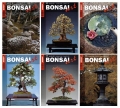 BONSAI ART Jahrgang 2002 - NUR FÜR ABONNENTEN