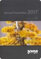 Bonsai-Faszination 2017