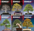 BONSAI ART Jahrgang 2019