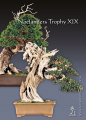 Noelanders Trophy XIX