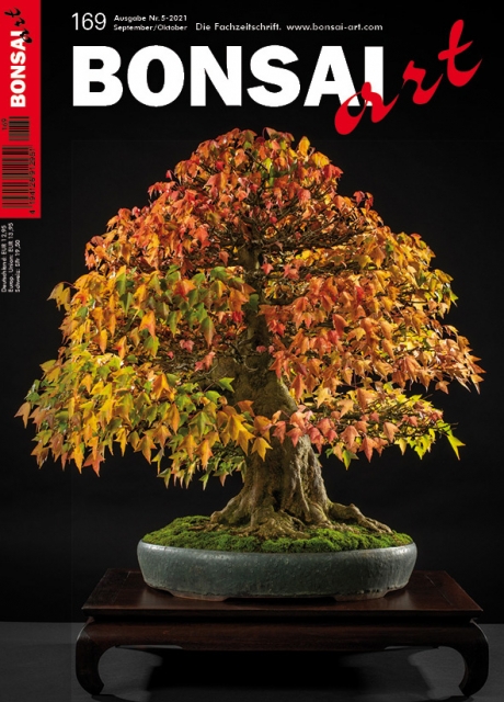 Logo:BONSAI ART 169