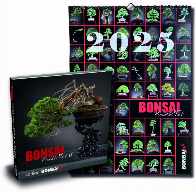 Logo:Kombi-Angebot: Kalender 2025 + Kreativ Fest II